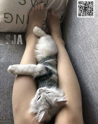 强行扒开双腿猛烈进入老师_HD免费在线观看