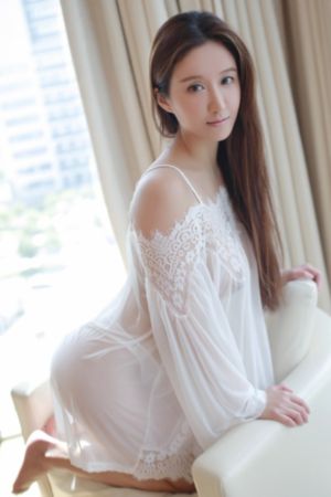 电视剧神圣使命全集免费观看_BD超清在线观看
