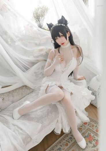 免费看理论片手机在线看_1080天堂在线