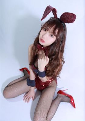 文豪野犬汪_BD电影完整版在线观看
