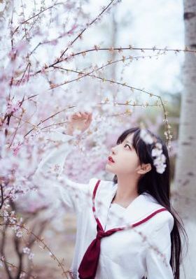 只因我们天生一对_DVD视频大全