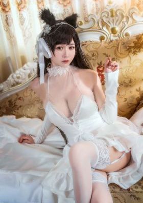 特殊失踪专案组_国产剧动漫免费观看